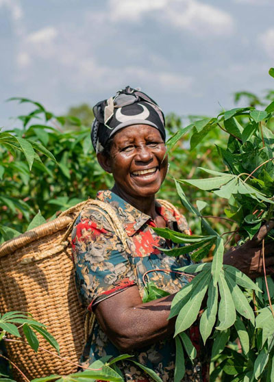 CASSAVA AND STARCH MILL